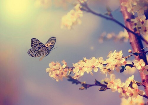 Rozwój osobisty – 6 ważnych elementów