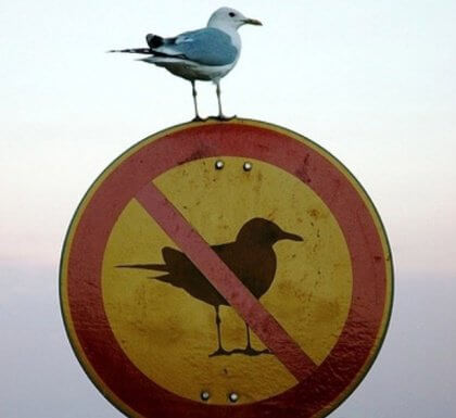 Dyscyplina u dzieci – korzyści przyjdą z czasem