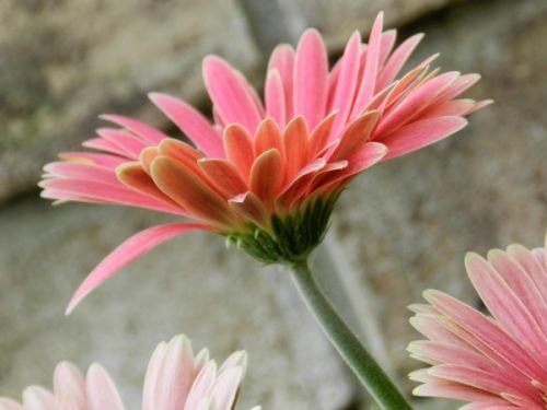 Poczucie własnej wartości - dlaczego jest aż tak ważne?