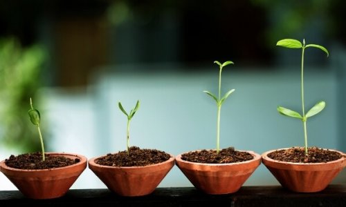 Rozwój emocjonalny i jego cechy