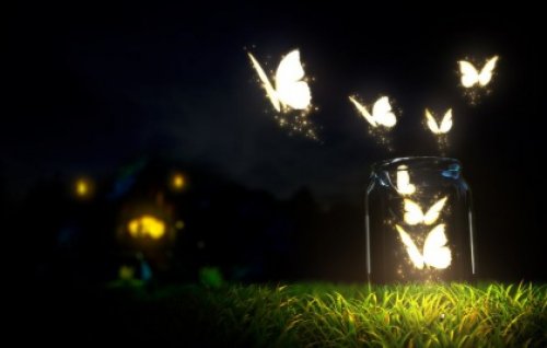 Motyle nocą