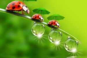 Samodyscyplina – 10 skutecznych strategii
