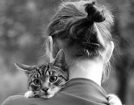 Strach przed kotami – ailurofobia. Możliwe przyczyny i sposoby leczenia