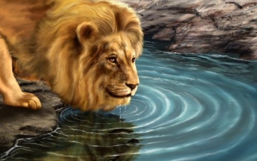 Lew i jego odbicie w lustrze wody