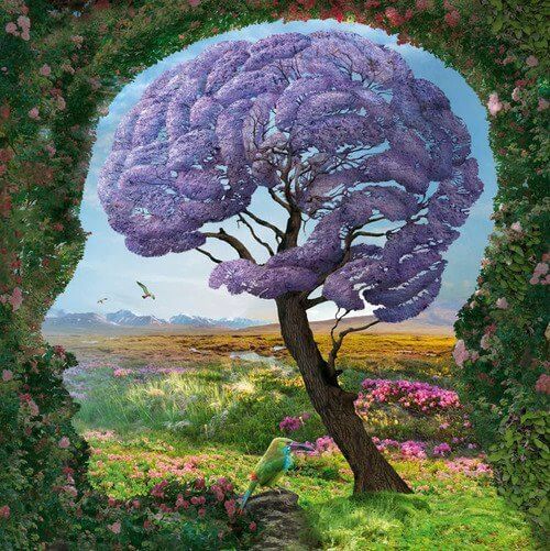 Drzewo, z koroną w kształcie mózgu