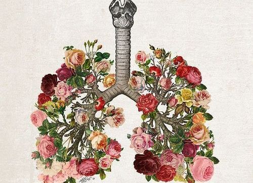 Płuca ułożone z kwiatów