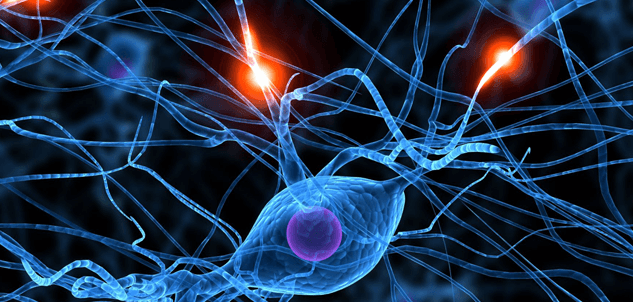 Sieć neuronów, sygnał bólu