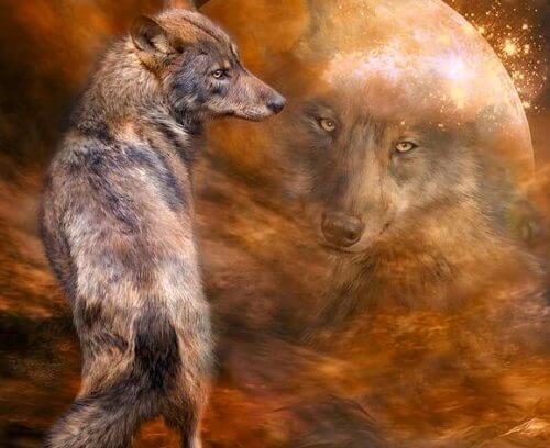 Piękno to kwestia nastawienia wobec życia