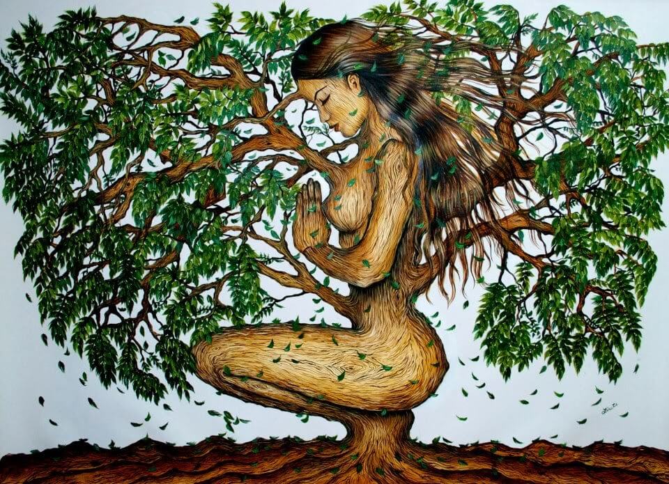 Kobieta drzewo