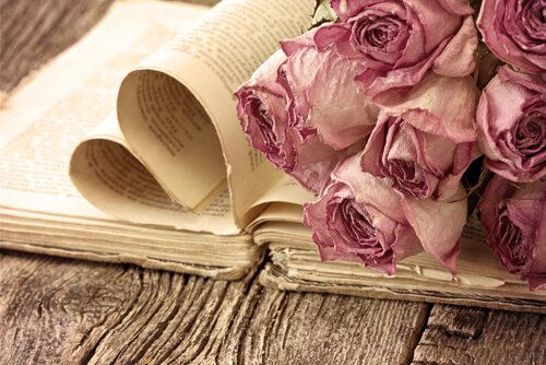 książka i róże