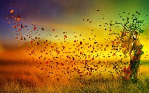 Kobieta drzewo - kochane życie