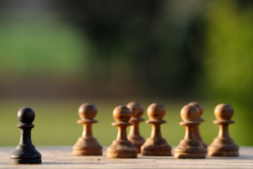 Pionki - każdego dnia nowa partia