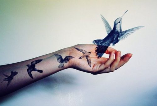 Ptaki wylatujące z ręki