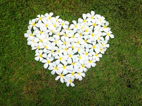 Serce z kwiatów