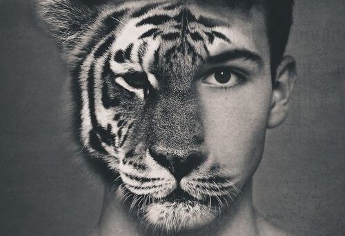 mężczyzna z twarzą tygrysa