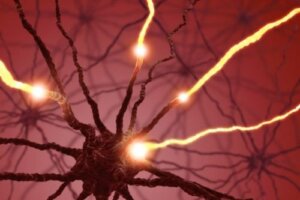 Serotonina – czy wiesz, jak wpływa na Twoje ciało?