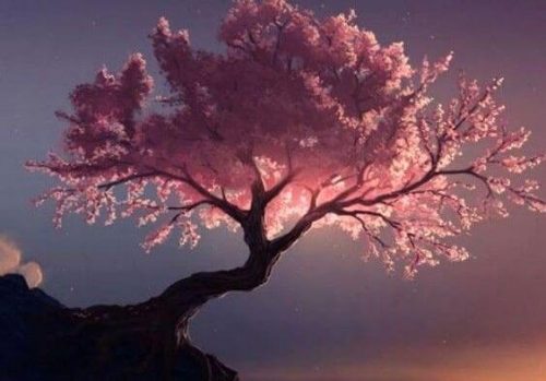 Lecznicze drzewa według Tao - siła natury