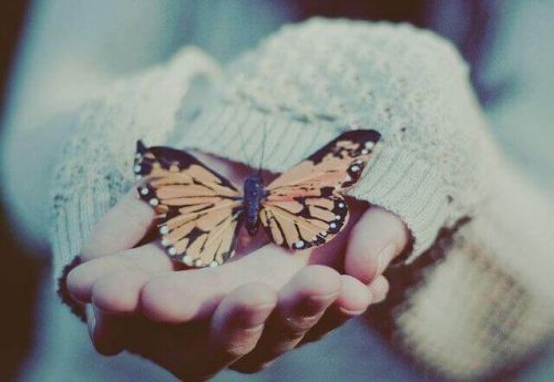Motyl na ręce
