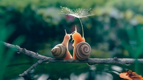 Tendencja slow, czyli im wolniej tym lepiej