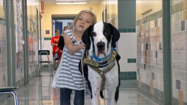 Bella i George - niezwykła historia pewnej przyjaźni