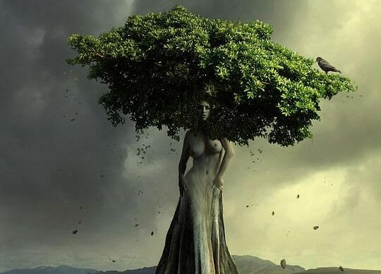 kobieta przemieniona w drzewo