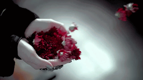 Kwiaty wylatują z dłoń