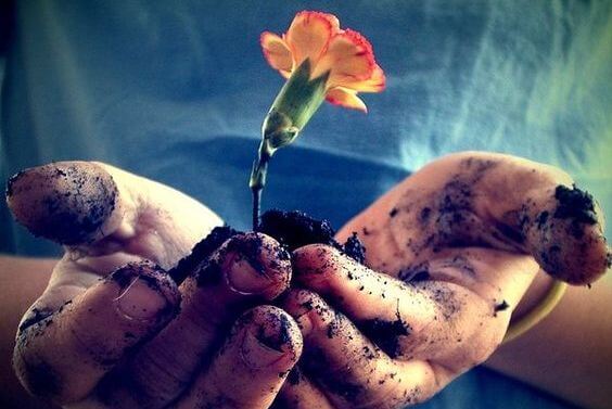 Kwiat wyrastający z dłoni.