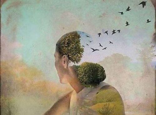 Głowa pełna ptaków - umysł