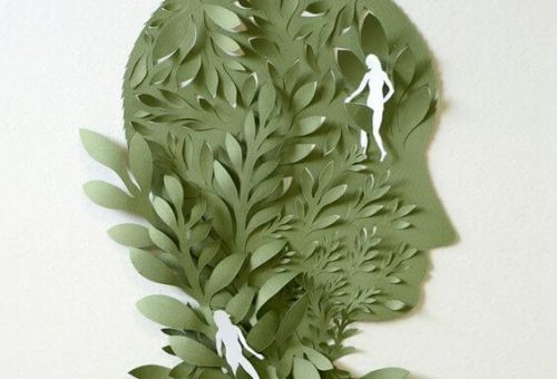 Umsył porośnięty roślinnością