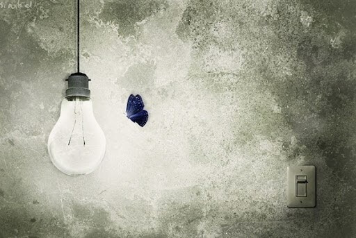 Ćma nie wie, że żarówka nie jest po to, by świecić dla niej.