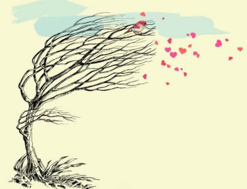 Drzewo zrzucające serca zamiast liści