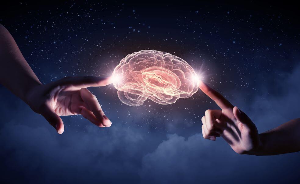 Dwie dłonie dotykają mózgu
