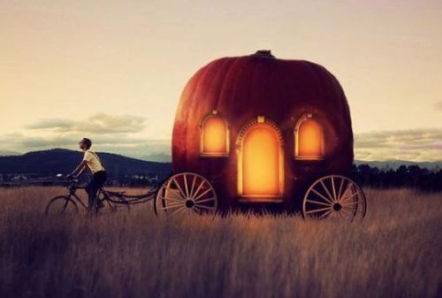 Człowiek ciągnie dyniową karetę