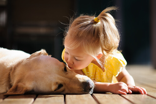 dziewczynka całuje psa
