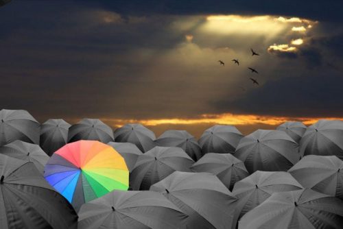 Kolorowy parasol wśród czarnych