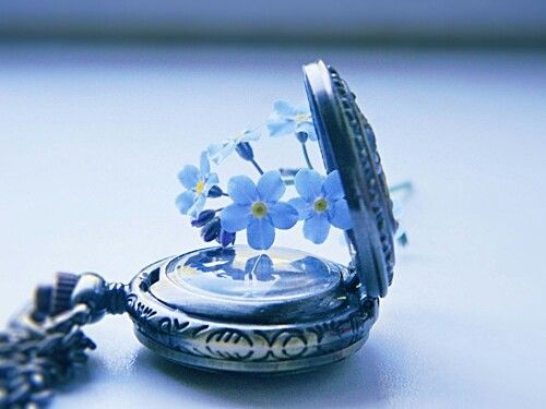 niebieskie kwiaty na zegarku