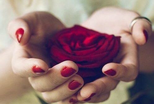 róża w dłoniach