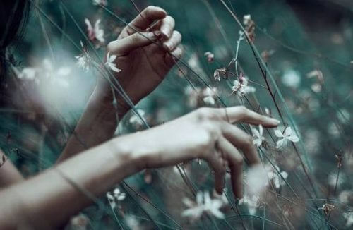 Bez pośpiechu - tylko tak można cieszyć się życiem