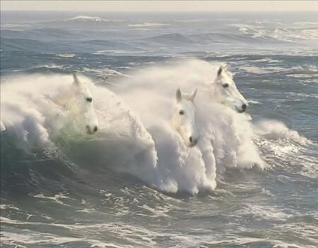 Konie wychodzące z morskiej fali