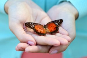 Prostota i naturalność – cechy, które czynią Cię wielkim