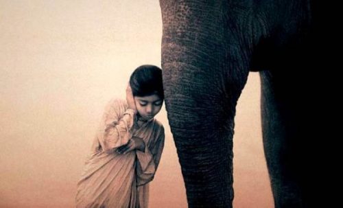 Dziewczynka i słoń