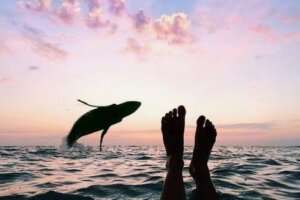 Najpiękniejsze chwile – nie wyznacza ich czas