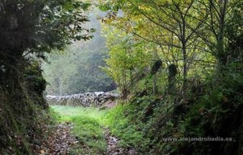 Życie i płynące z niego lekcje