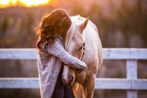 Dziewczyna przytula konia