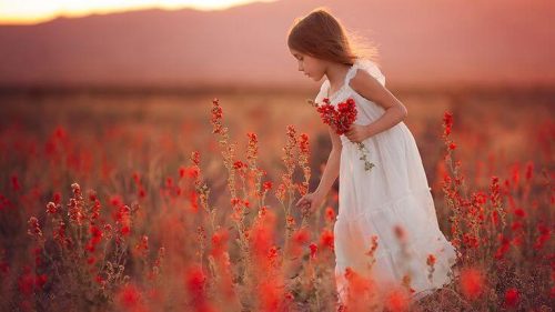 Dziewczynka na polu czerwonych kwiatów