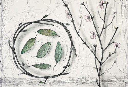 Liście ułożone w kręgi