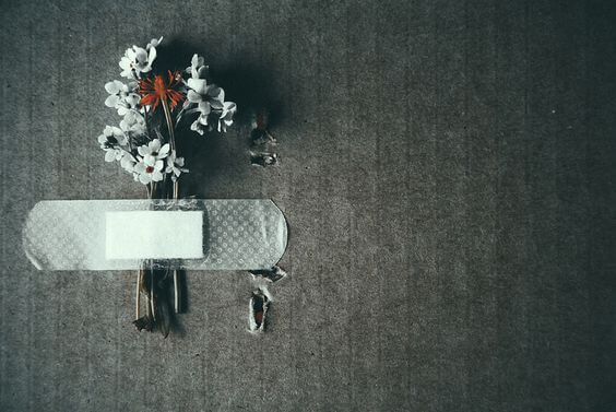 Kwiaty przytrzymywane przez plaster.