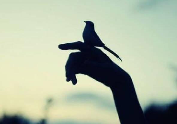 Ptaszek na ręku.