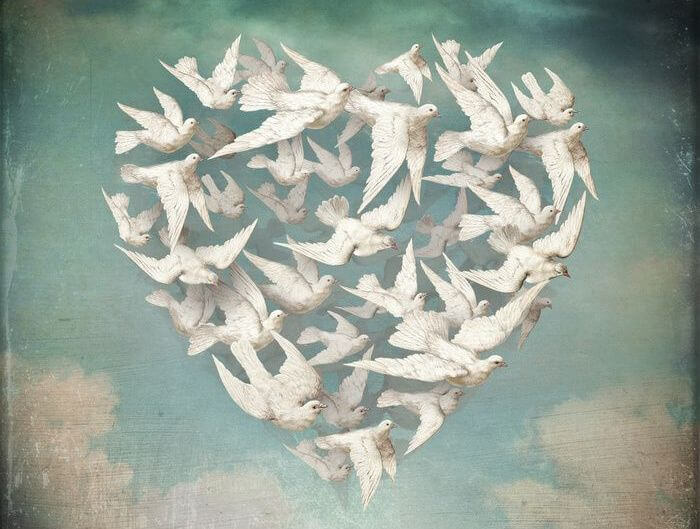 Serce ułożone z lecących gołębi.