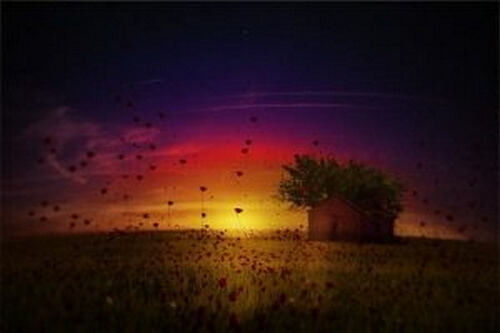 Marketing emocjonalny: kupowanie emocji